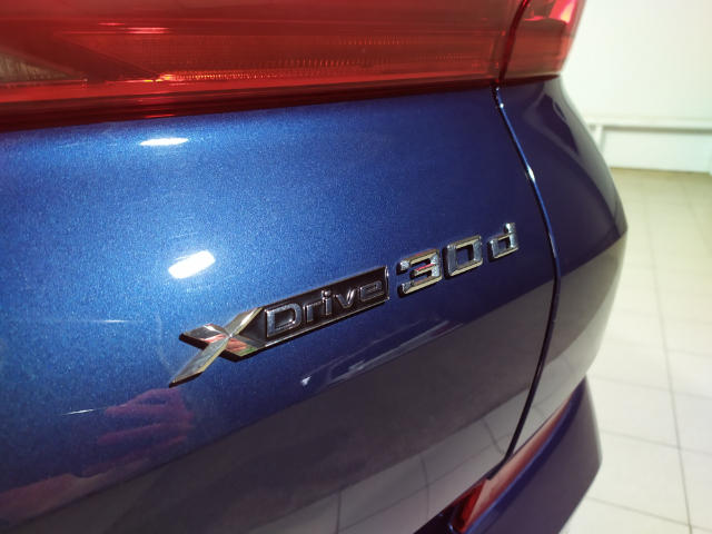 fotoG 48 del BMW X6 xDrive30d 210 kW (286 CV) 286cv Diésel del 2021 en Alicante