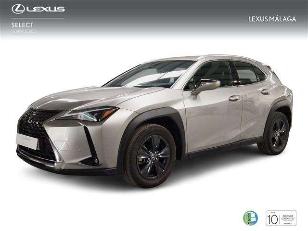 Lexus UX en Motorflash