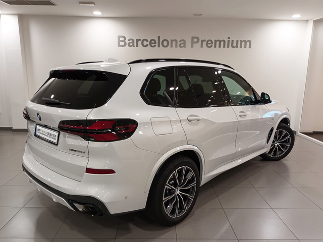 fotoG 3 del BMW X5 xDrive30d  xLine 219 kW (298 CV) 298cv Diésel del 2023 en Barcelona