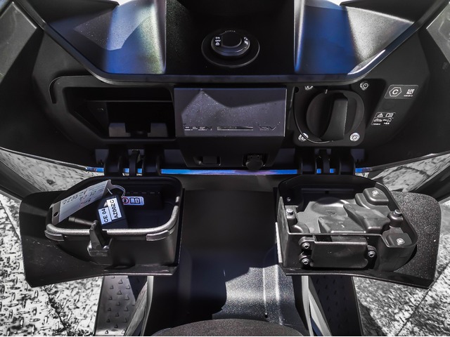 BMW Motorrad CE 04  de ocasión 