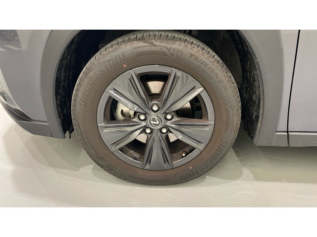 Lexus UX 250h Premium 135 kW (184 CV)