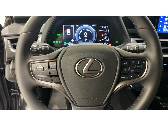 Lexus UX 250h Premium 135 kW (184 CV)