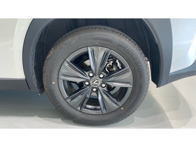 Lexus UX 250h Premium 135 kW (184 CV)