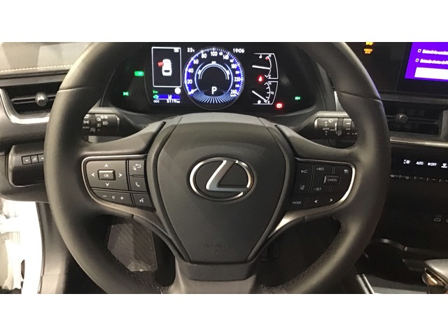 Lexus UX 250h Premium 135 kW (184 CV)