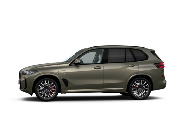 BMW X5 xDrive50e xLine 360 kW (489 CV)