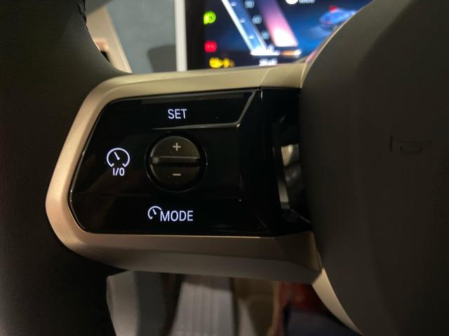 Foto 23 BMW iX xDrive40 240 kW (326 CV)