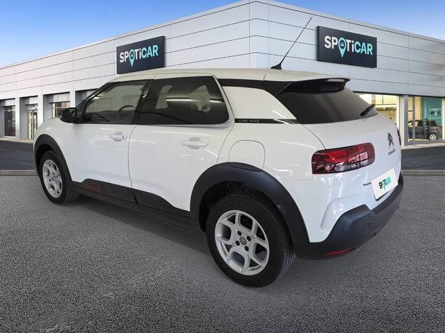 Citroen C4 Cactus PureTech 110 S&S Shine 81 kW (110 CV)