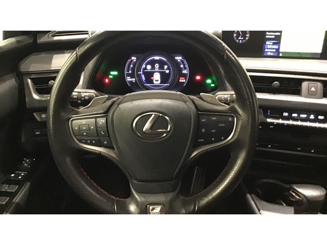 Lexus UX 250h F Sport 135 kW (184 CV)