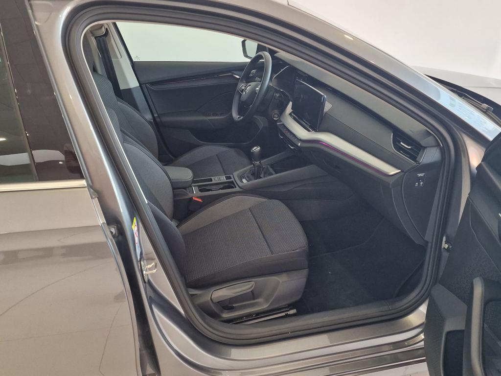 1.0 TSI MHEV Selection DSG 81 kW (110 CV)