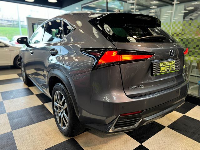 Lexus NX 300h Executive Navigation 145 kW (197 CV)