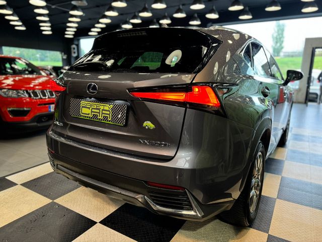 Lexus NX 300h Executive Navigation 145 kW (197 CV)
