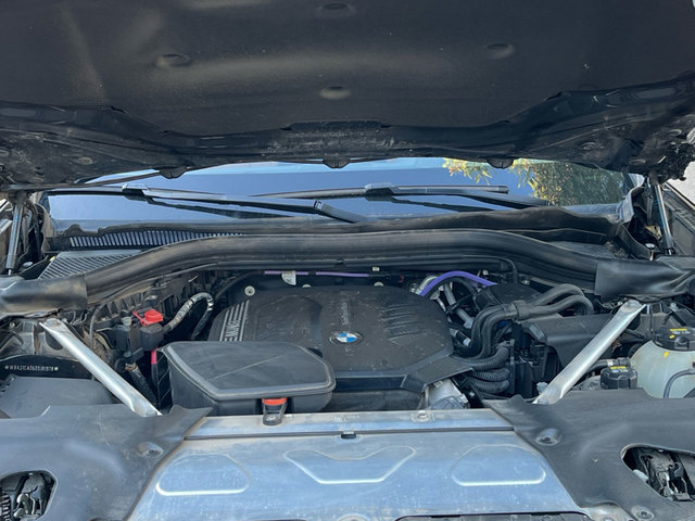 Foto 18 BMW X4 xDrive20d xLine 140 kW (190 CV)