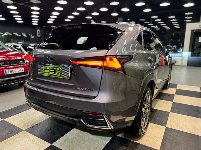 Lexus NX 300h Executive Navigation 4WD 145 kW (197 CV)