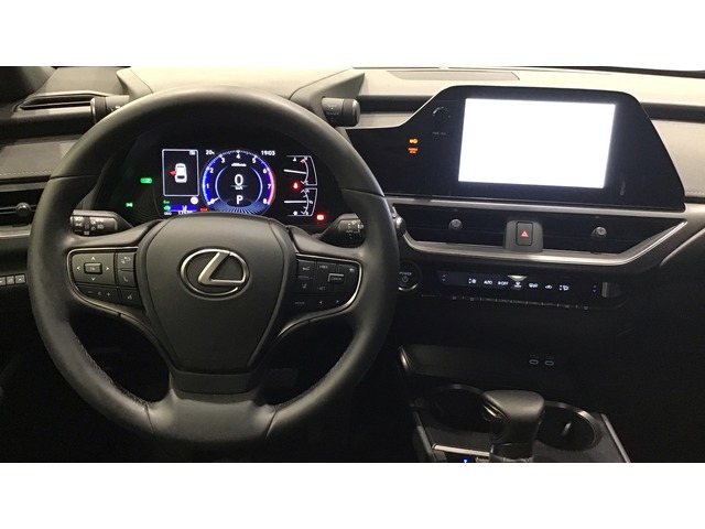 Lexus UX 250h Business City 135 kW (184 CV)