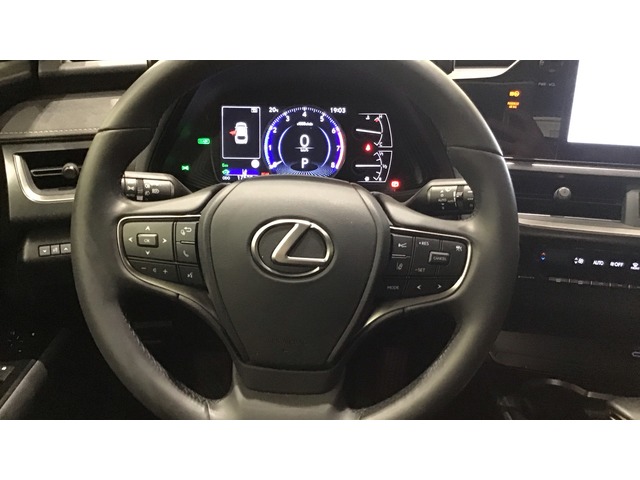 Lexus UX 250h Business City 135 kW (184 CV)