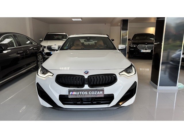 BMW Serie 2 220d Coupe 140 kW (190 CV)