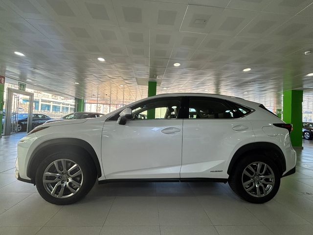 Lexus NX 300h Executive 4WD 145 kW (197 CV)