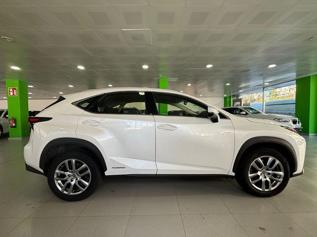 Lexus NX 300h Executive 4WD 145 kW (197 CV)