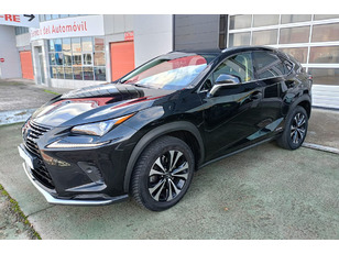 Lexus NX en Motorflash