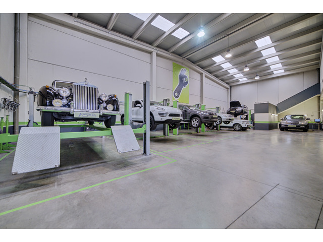 SEAT Ibiza 1.4 16v Stella 74 kW (100 CV)