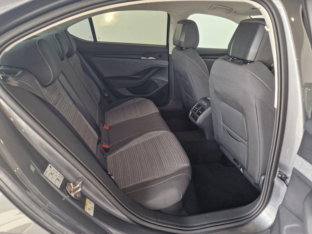 1.5 TSI m-HEV Selection DSG 110 kW (150 CV)