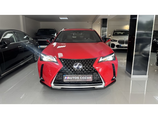 Lexus UX 250h Business 2WD 135 kW (184 CV)