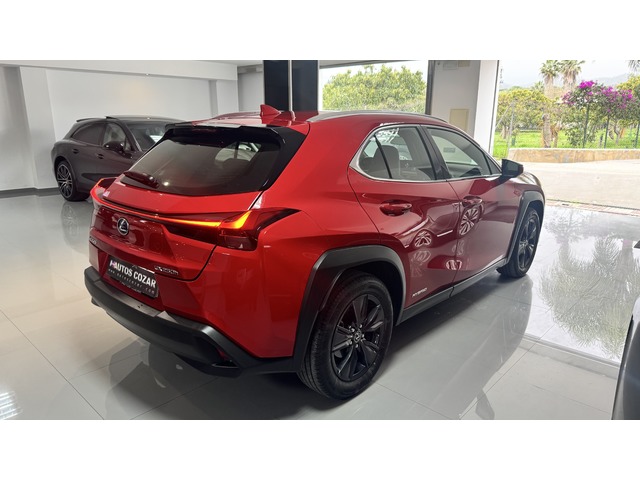 Lexus UX 250h Business 2WD 135 kW (184 CV)