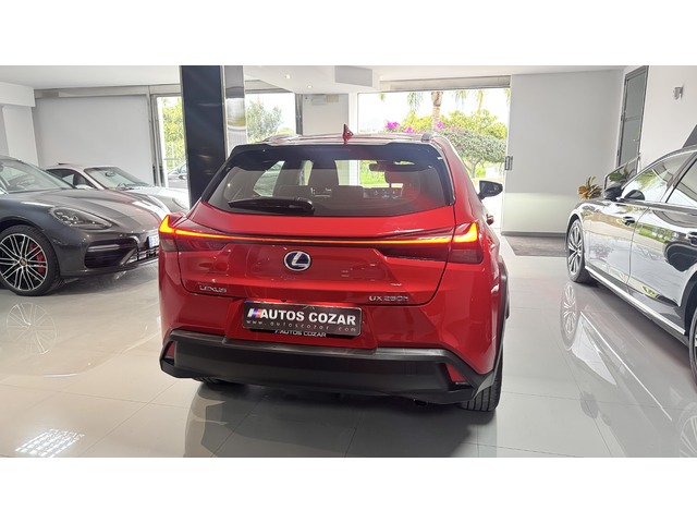 Lexus UX 250h Business 2WD 135 kW (184 CV)