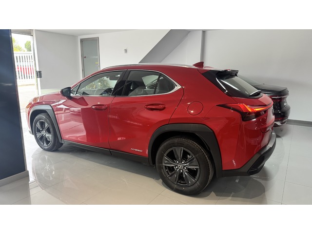 Lexus UX 250h Business 2WD 135 kW (184 CV)