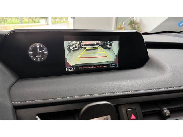 Lexus UX 250h Business 2WD 135 kW (184 CV)