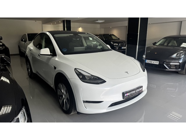 Tesla Model Y Gran Autonomía de segunda mano