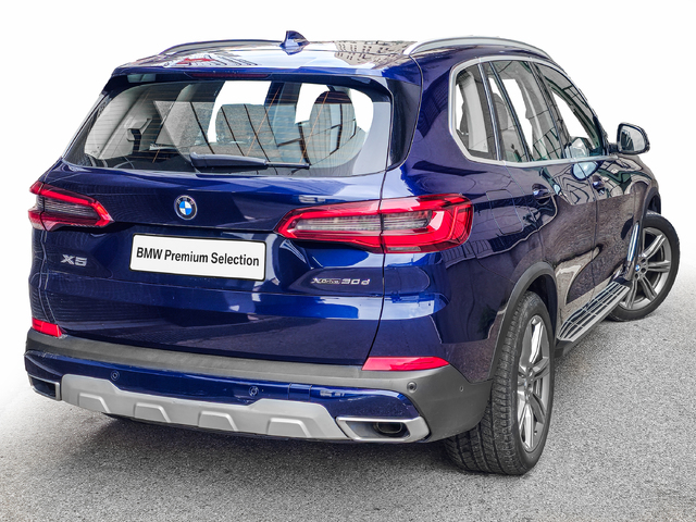 BMW X5 xDrive30d color Azul. Año 2019. 195KW(265CV). Diésel. En concesionario Caetano Cuzco, Salvatierra de Madrid