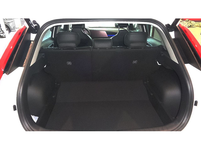 Foto 4 Kia e-Niro Winter Edition 150 kW (204 CV)