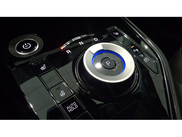 Foto 11 Kia e-Niro Winter Edition 150 kW (204 CV)