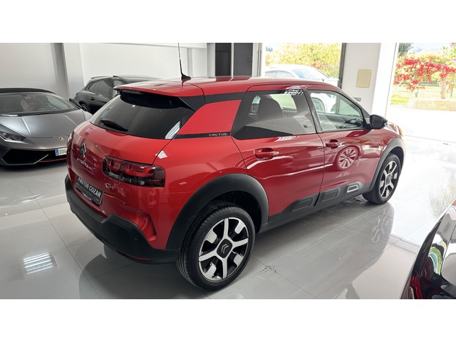 Citroen C4 Cactus PureTech 110 S&S Shine 81 kW (110 CV)
