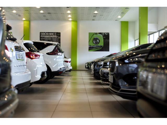 Volkswagen Polo Edition 1.4 TDI BMT 55 kW (75 CV)