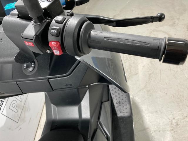 BMW Motorrad CE 04 A2  de ocasión 