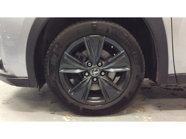 Lexus UX 250h Premium 135 kW (184 CV)