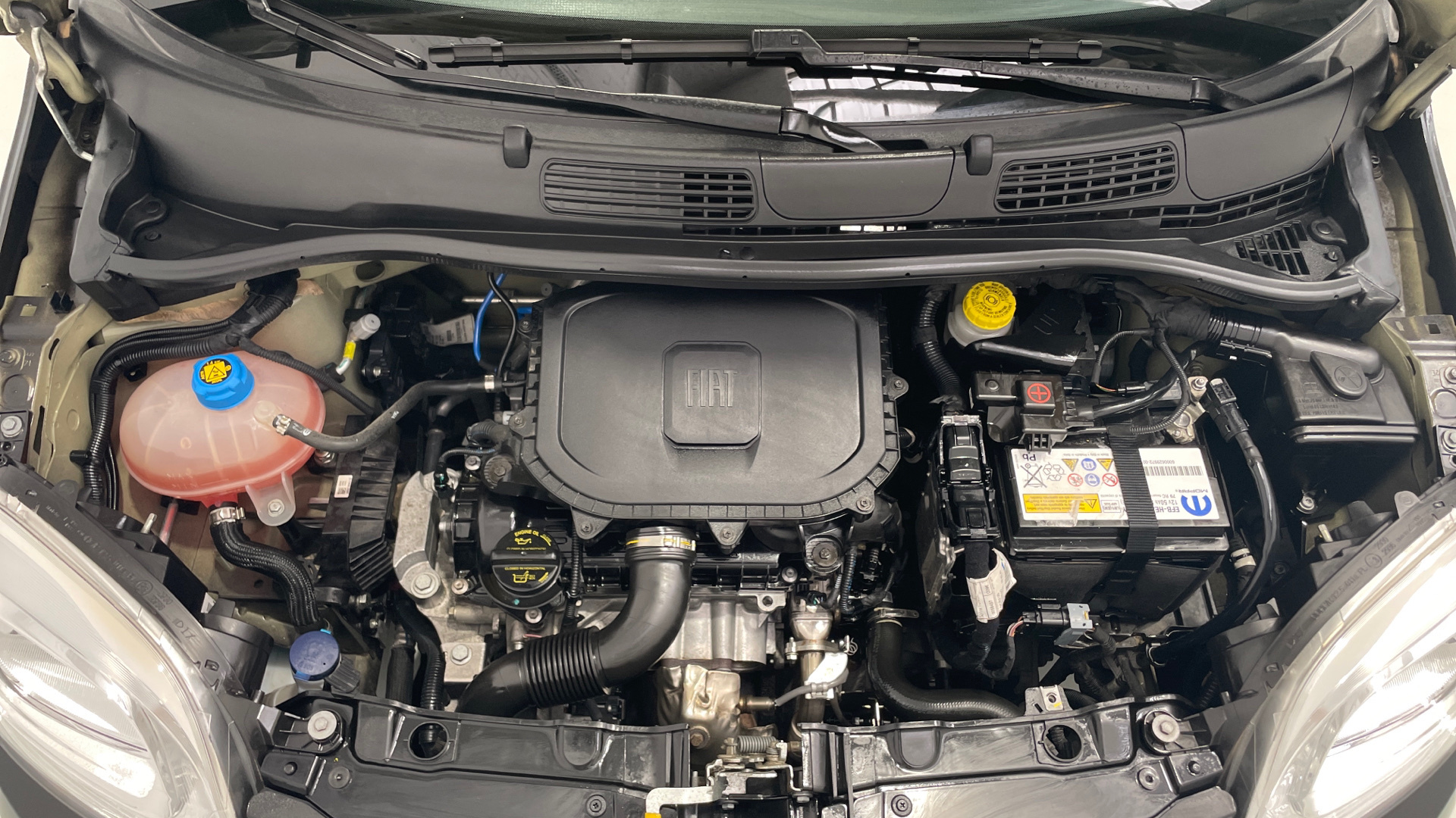 Fiat Panda 1.0 Hybrid - 15