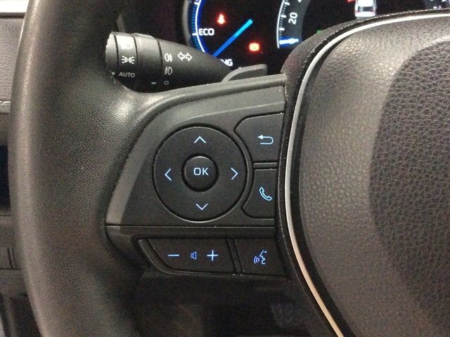 Toyota Rav4 2.5l hybrid Luxury 4WD 163 kW (222 CV)