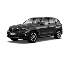 Fotos de BMW X5 xDrive25d color Gris. Año 2021. 170KW(231CV). Diésel. En concesionario San Rafael Motor LUCENA, S.L. de Córdoba