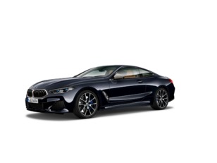 Fotos de BMW Serie 8 M850i Coupe color Negro. Año 2019. 390KW(530CV). Gasolina. En concesionario BMW Fuenteolid Valladolid de Valladolid