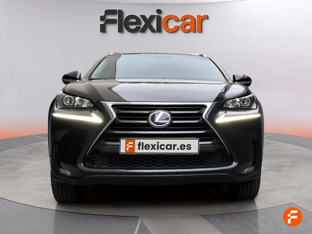 Foto 2 Lexus NX 300h Business 2WD 145 kW (197 CV)