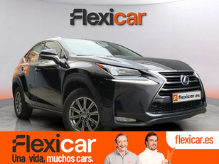 Lexus NX en Motorflash