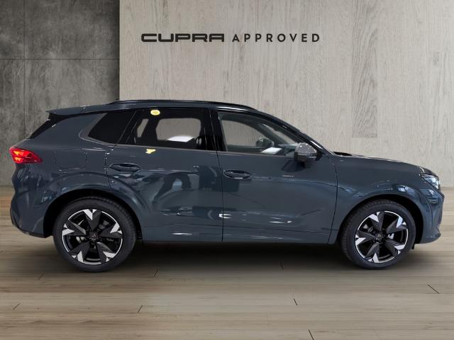 CUPRA Terramar 1.5 eTSI DSG 110 kW (150 CV)