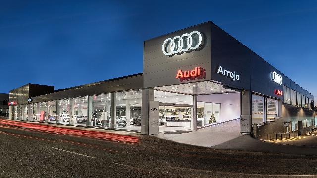 Foto 13 Audi Q8 50 TDI quattro 210 kW (286 CV) tiptronic
