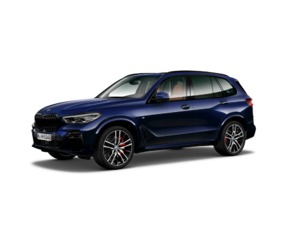 Fotos de BMW X5 xDrive30d color Azul. Año 2022. 210KW(286CV). Diésel. En concesionario Automoviles Bertolin, S.L. de Valencia