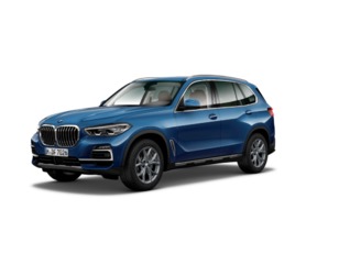 Fotos de BMW X5 xDrive30d color Azul. Año 2019. 195KW(265CV). Diésel. En concesionario Ceres Motor S.L. de Cáceres