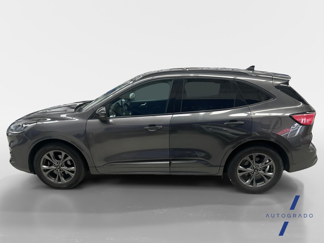 Ford Kuga 1.5 EcoBoost S&S ST-Line 4x2 110 kW (150 CV)