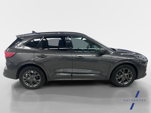 Ford Kuga 1.5 EcoBoost S&S ST-Line 4x2 110 kW (150 CV)